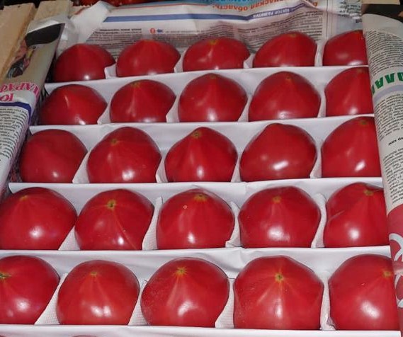  Сочные узбекские помидоры